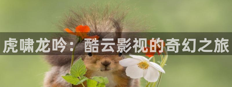 四虎影片