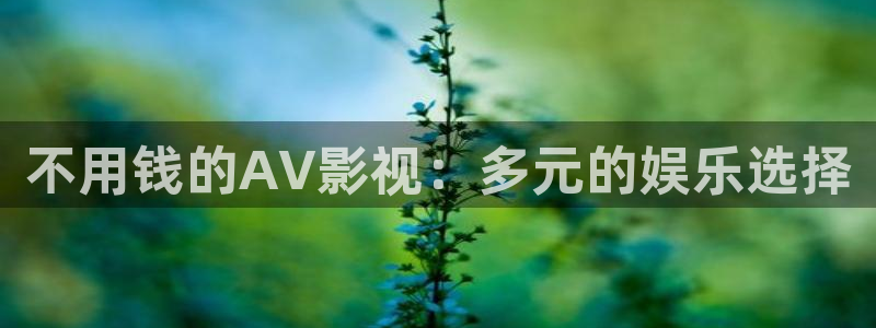 四虎影院一区一级