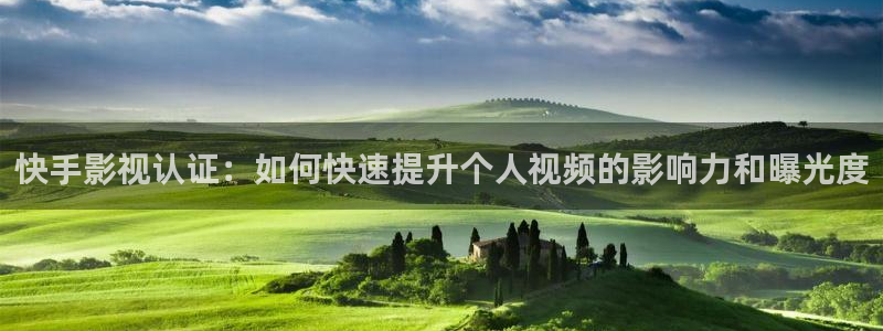 星海之外定档海报